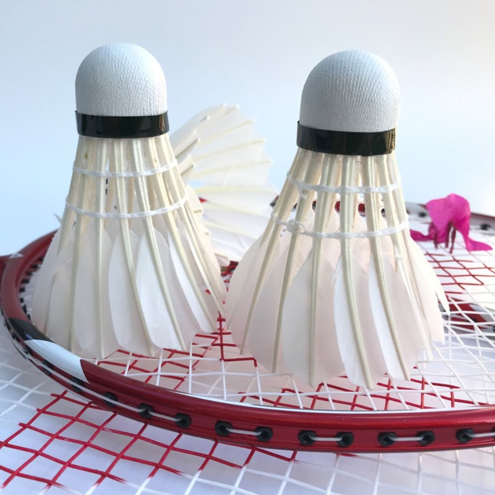 3/6/12 Stuks Nieuwe Witte Badm - Badminton House recensie en prijs